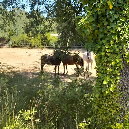 L Etrier Villa Lorgues Eksteriør bilde
